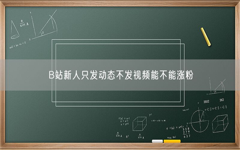 B站新人只发动态不发视频能不能涨粉